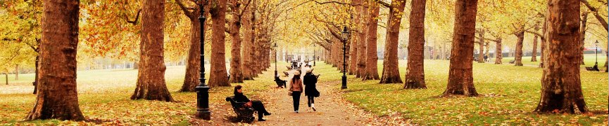   Aprender Inglés en Inglaterra —   VUELOS A LONDRES