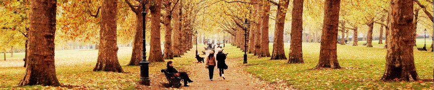   Vuelos a Londres: Brixton Market —   VUELOS A LONDRES